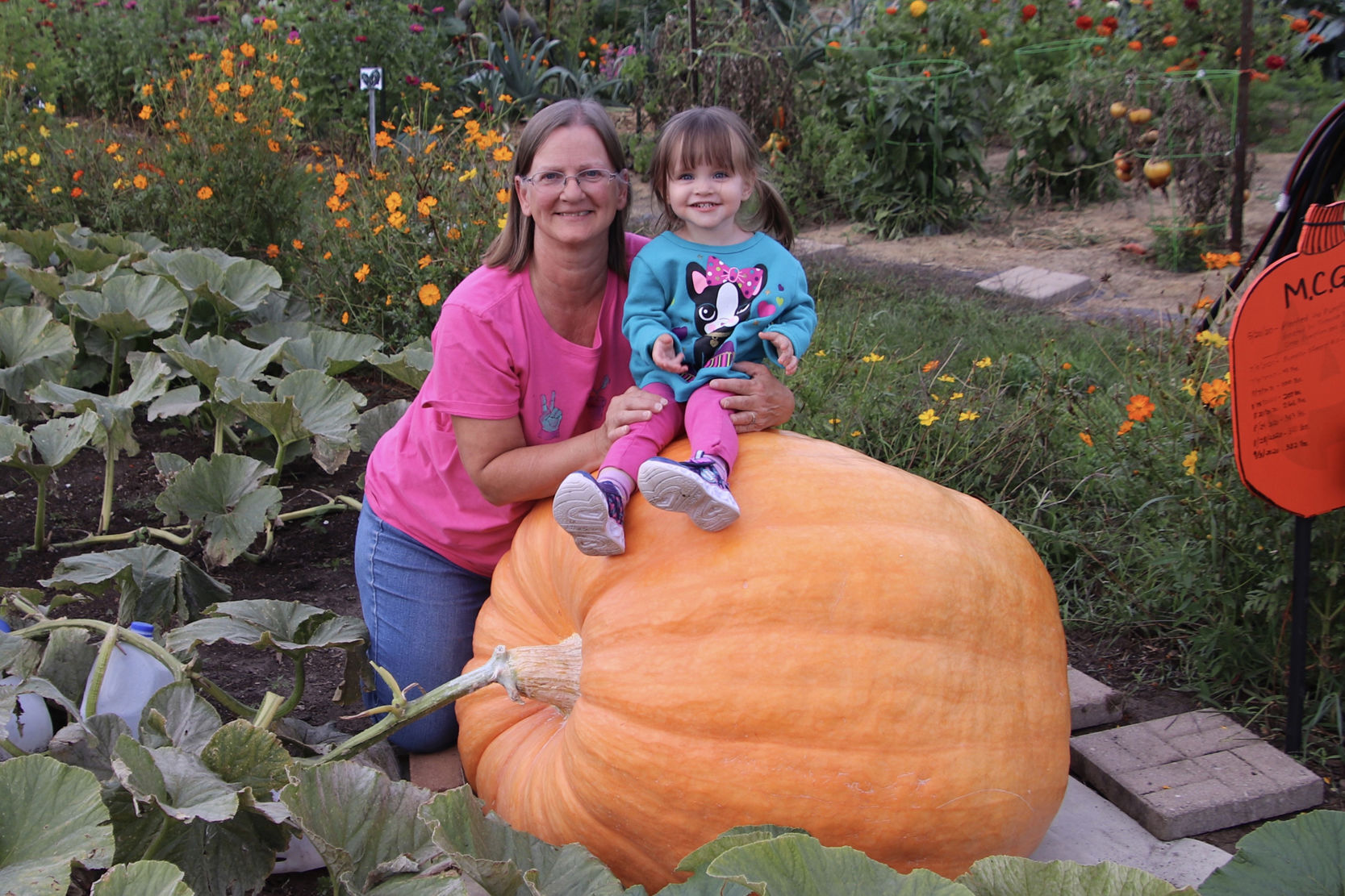 Community Garden, Menomonie